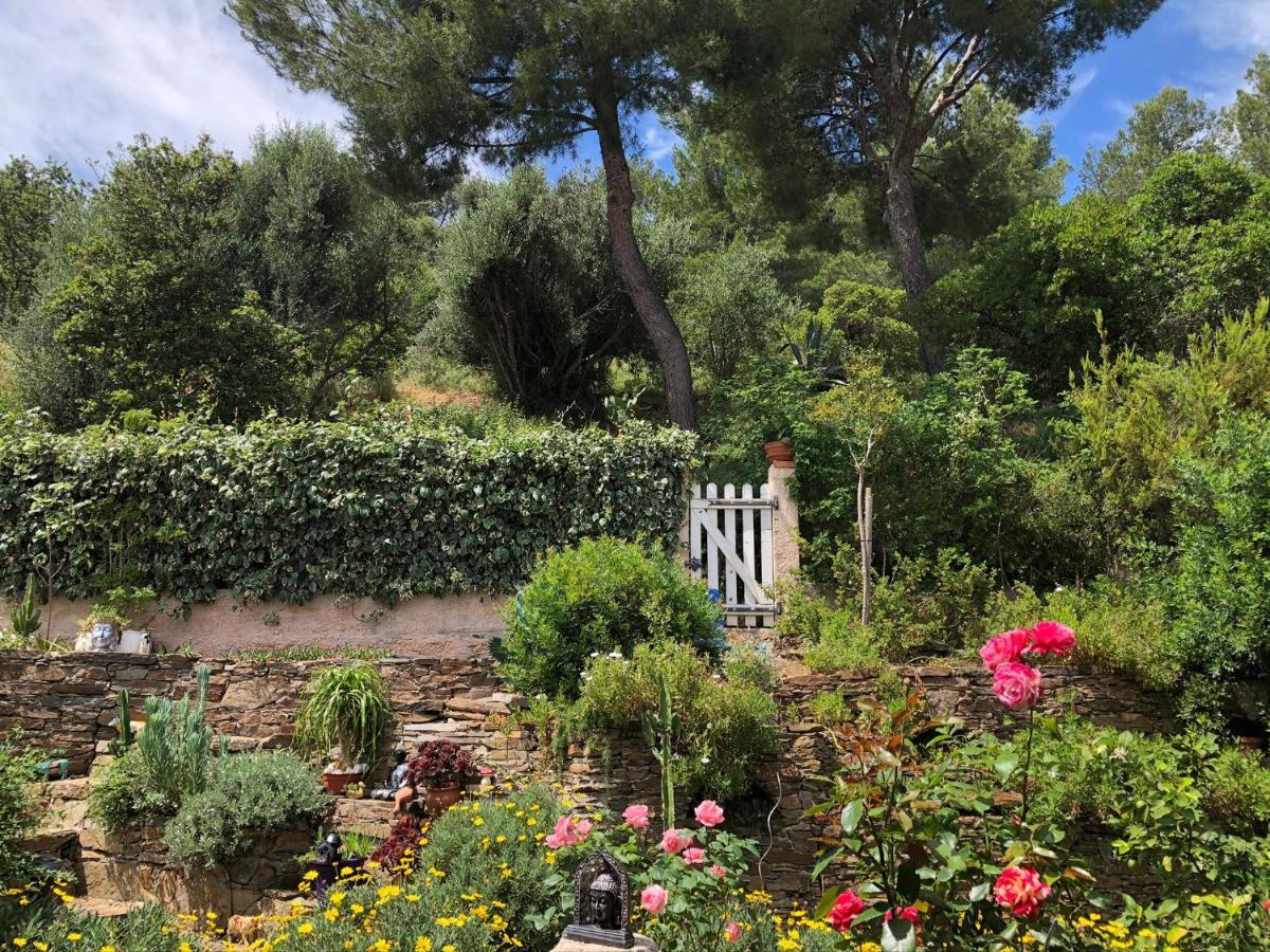 Logement Zen Sur La Colline Aux Mimosas Hyères Dış mekan fotoğraf