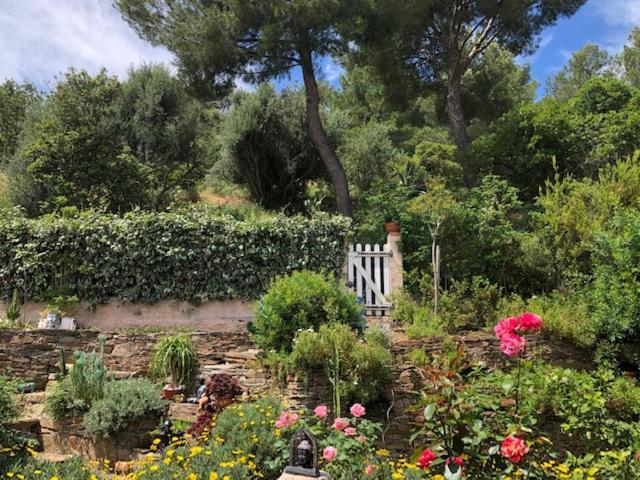 Logement Zen Sur La Colline Aux Mimosas Hyères Dış mekan fotoğraf