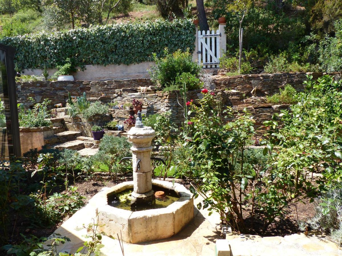 Logement Zen Sur La Colline Aux Mimosas Hyères Dış mekan fotoğraf